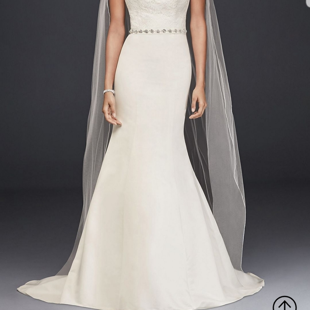 Wedding Dress - Picture 4 of 6